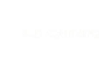 Interstices Sud Aquitaine (logo blanc)